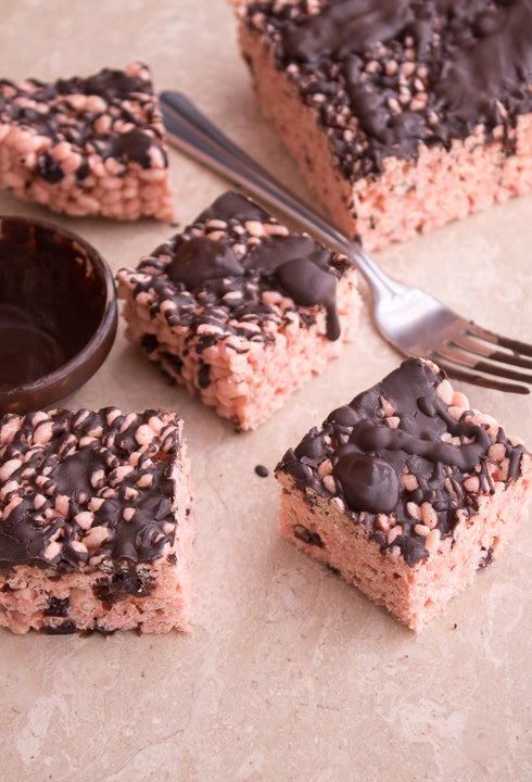Crispy Chocolate Cranberry Treats - 8 squares image 0